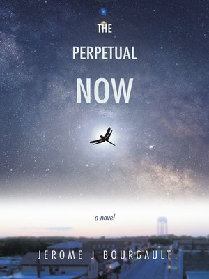 cover image of The Perpetual Now